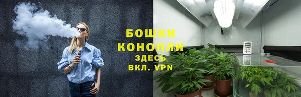 ПСИЛОЦИБИНОВЫЕ ГРИБЫ Алзамай